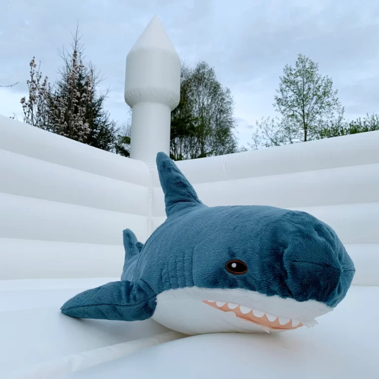 requin chateau gonflable enfant